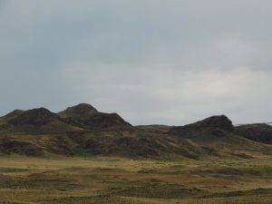 新疆ウィグル自治区・五彩灘の写真 砂漠と緑の競演-8