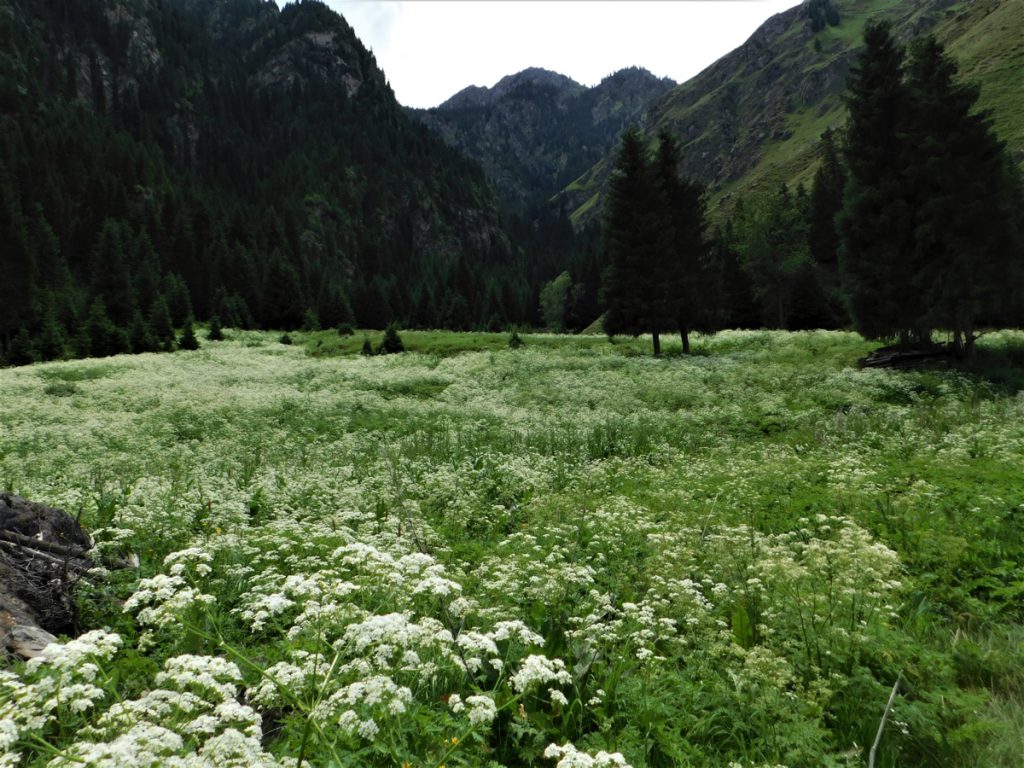 新疆ウィグル自治区・天山天池／南山牧場／奎屯河大峡谷の写真　天山の山懐に抱かれて-5