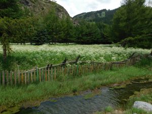新疆ウィグル自治区・天山天池／南山牧場／奎屯河大峡谷の写真　天山の山懐に抱かれて-9