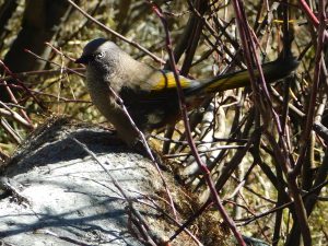 四川省・牛奶海と五色海への道／牛奶海／五色海の写真　感涙のブルー-8