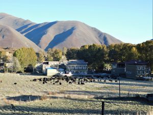 四川省・新都橋の霜の朝／塔公寺／塔公草原の写真　祈りの道を行く-7
