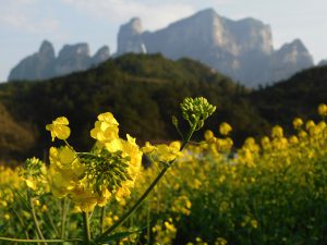湖南省・の写真 峡幽神秘、五絶の世界2-10