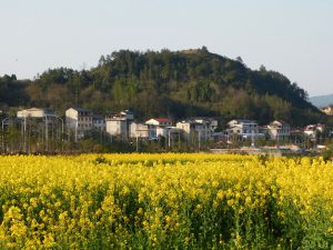 湖南省・の写真 峡幽神秘、五絶の世界2-8