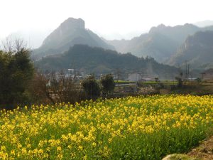 湖南省・の写真 峡幽神秘、五絶の世界2-9