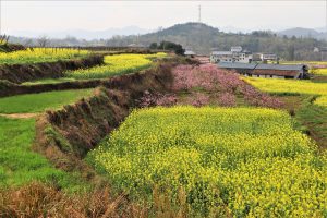 湖南省・黔陽古城と洪江古商城の写真　湘西文化が伝わる歴史の街-10