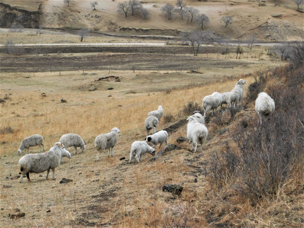 北京、河北省・北京から河北路を内モンゴルへ/奇岩の回廊(承徳近郊)/避暑山庄/普陀宗乗之廟/普楽寺夕景の写真 清朝四大皇帝、康熙帝ゆかりの地を訪ねて-1