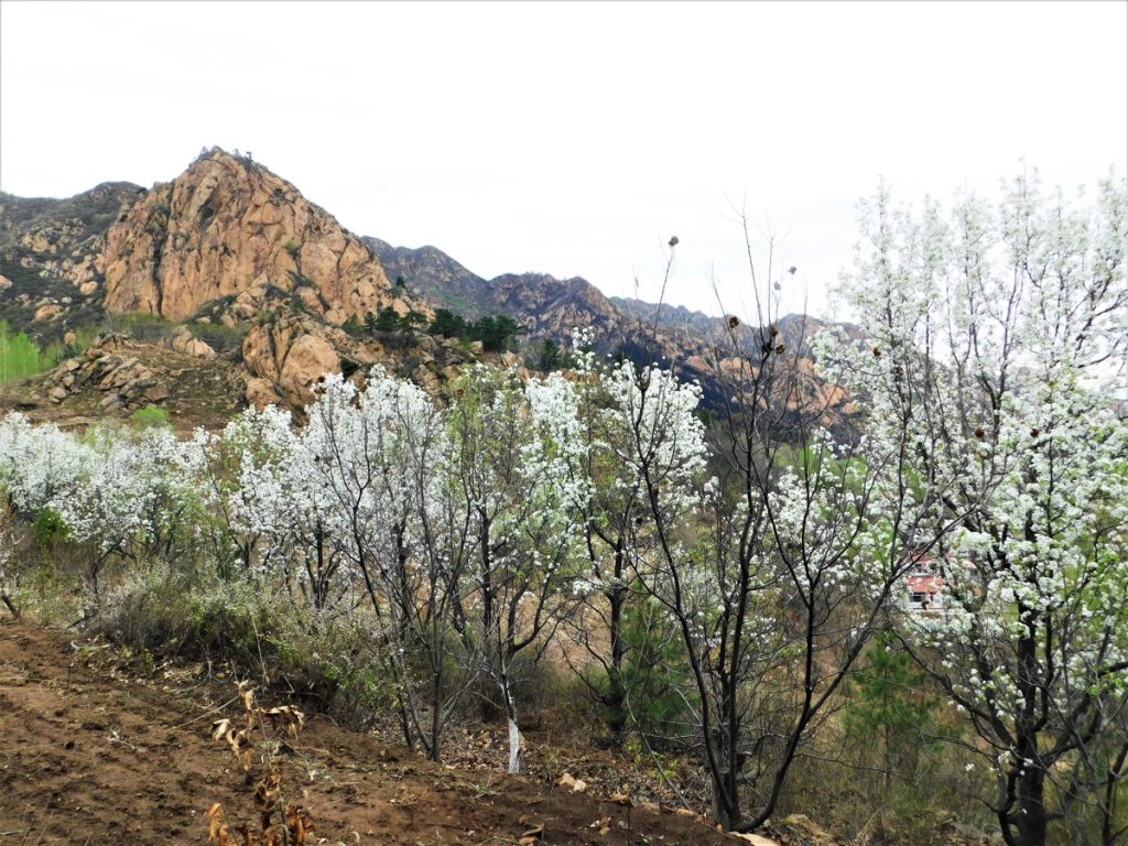 北京、河北省・北京から河北路を内モンゴルへ/奇岩の回廊(承徳近郊)/避暑山庄/普陀宗乗之廟/普楽寺夕景の写真 清朝四大皇帝、康熙帝ゆかりの地を訪ねて-5