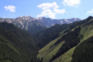 新疆ウィグル自治区・賽里木（サリム）湖、果子溝の写真　碧水、碧空、山花爛漫の伊犁河谷へ2-10