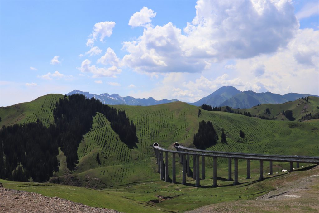 新疆ウィグル自治区・賽里木（サリム）湖、果子溝の写真　碧水、碧空、山花爛漫の伊犁河谷へ2-5