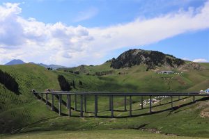 新疆ウィグル自治区・賽里木（サリム）湖、果子溝の写真　碧水、碧空、山花爛漫の伊犁河谷へ2-6