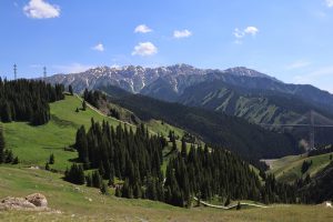 新疆ウィグル自治区・賽里木（サリム）湖、果子溝の写真　碧水、碧空、山花爛漫の伊犁河谷へ2-7