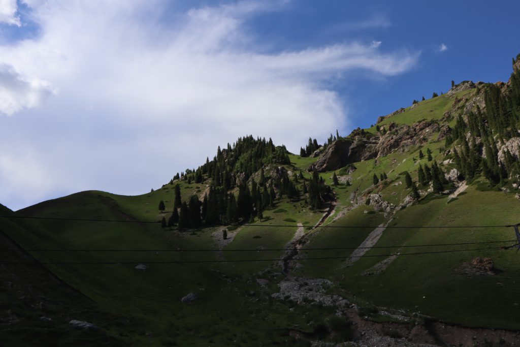 新疆ウィグル自治区・昭蘇の写真　生命が蘇る地-3