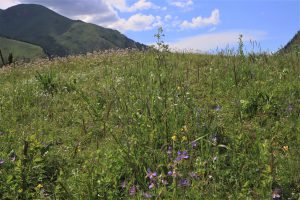 新疆ウィグル自治区・夏塔古道の写真　シルクロードの古道を歩く-11