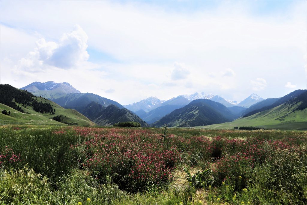 新疆ウィグル自治区・夏塔古道の写真　シルクロードの古道を歩く-3