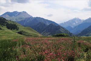 新疆ウィグル自治区・夏塔古道の写真　シルクロードの古道を歩く-7