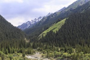 新疆ウィグル自治区・夏塔古道の写真　シルクロードの古道を歩く2-6