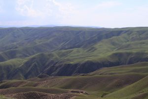 新疆ウィグル自治区・喀拉峻（カラジュン）の写真　波打つ、花と深緑の大草原-6