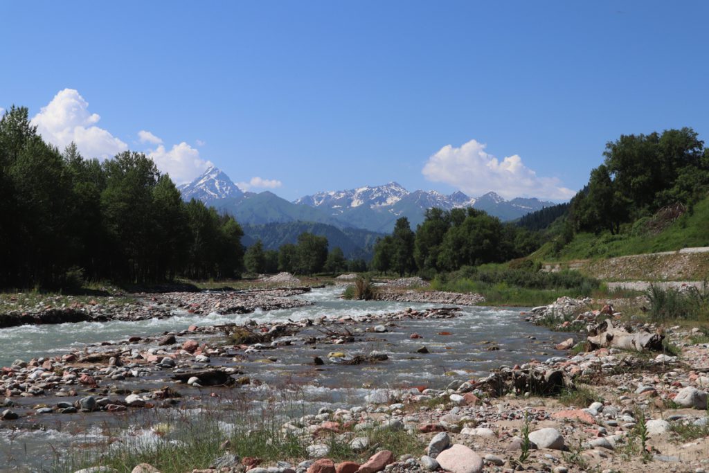 新疆ウィグル自治区・庫爾徳寧の写真　“雪嶺雲杉”の原始杉の故郷-1