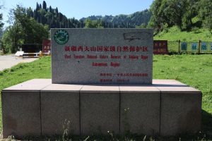 新疆ウィグル自治区・庫爾徳寧の写真　“雪嶺雲杉”の原始杉の故郷-11