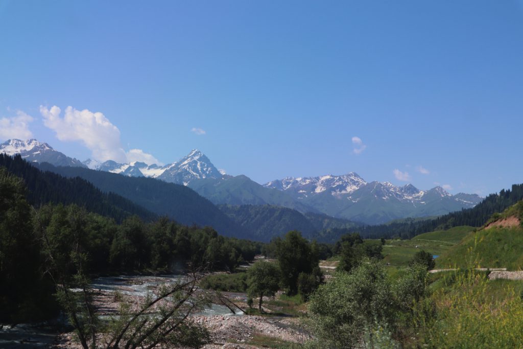 新疆ウィグル自治区・庫爾徳寧の写真　“雪嶺雲杉”の原始杉の故郷-5