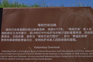 新疆ウィグル自治区・庫爾徳寧の写真　“雪嶺雲杉”の原始杉の故郷-11