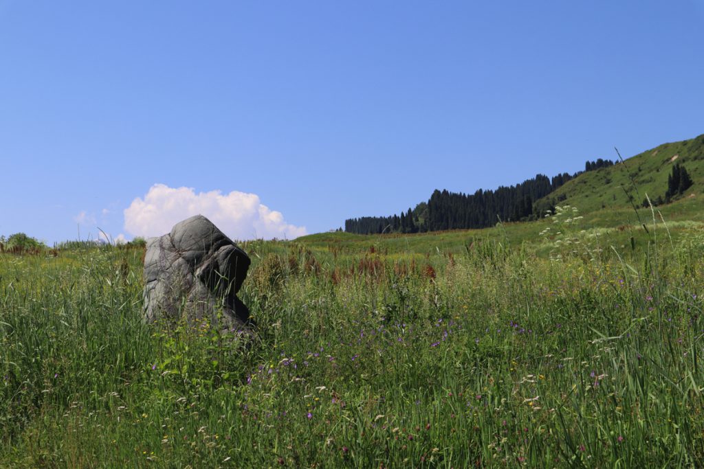 新疆ウィグル自治区・庫爾徳寧の写真　“雪嶺雲杉”の原始杉の故郷-4