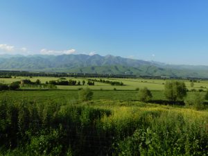 新疆ウィグル自治区・那拉堤（ナラテー）の写真　清風吹き渡る三面青山の草原劇場-10