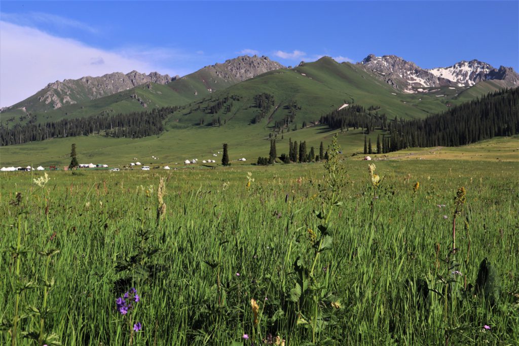 新疆ウィグル自治区・那拉堤（ナラテー）の写真　清風吹き渡る三面青山の草原劇場-3
