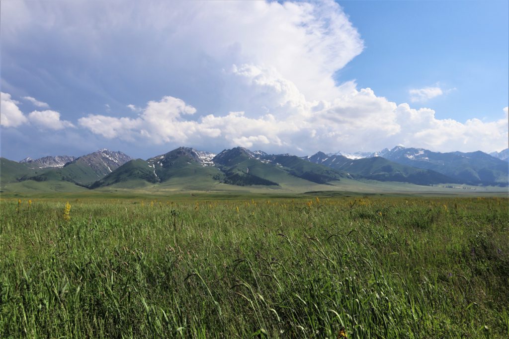 新疆ウィグル自治区・那拉堤（ナラテー）の写真　清風吹き渡る三面青山の草原劇場-4