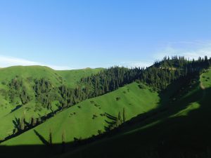新疆ウィグル自治区・那拉堤（ナラテー）の写真　清風吹き渡る三面青山の草原劇場-8
