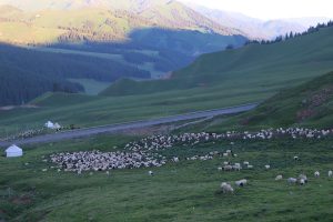 新疆ウィグル自治区・中天山から国道218号を行くの写真　天山の浪漫の回廊-8