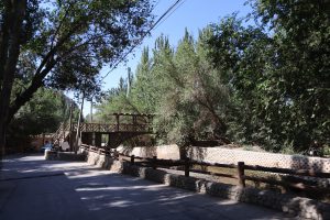 新疆ウィグル自治区・火焔山、葡萄溝の写真　灼熱の大地を歩き緑の谷で憩う2-7