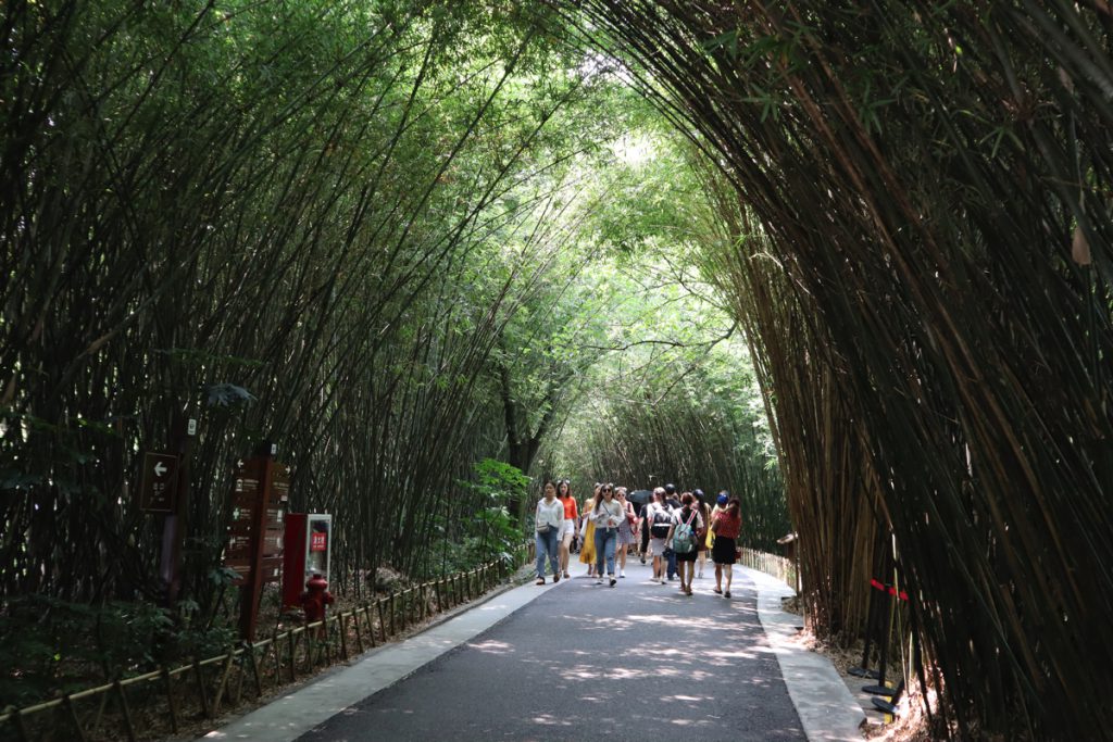四川省・成都賽窄巷子／塔嶺村／葫芦海への登山道／葫芦海の写真　仙境の村、党嶺から葫芦海に登る-3