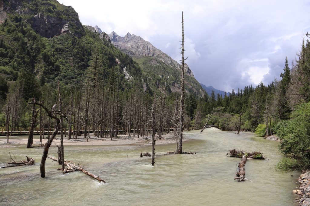 四川省・長坪溝/枯樹灘/四姑娘山鎮から大本営ベースキャンプへ/大峰山頂の写真 四姑娘山、大峰を登る-1