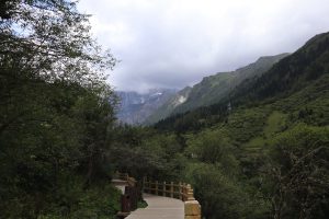 四川省・長坪溝/枯樹灘/四姑娘山鎮から大本営ベースキャンプへ/大峰山頂の写真 四姑娘山、大峰を登る-11