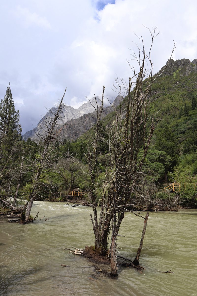 四川省・長坪溝/枯樹灘/四姑娘山鎮から大本営ベースキャンプへ/大峰山頂の写真 四姑娘山、大峰を登る-2