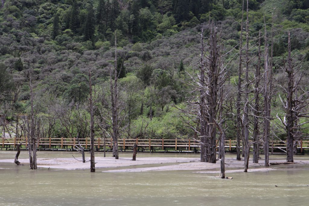 四川省・長坪溝/枯樹灘/四姑娘山鎮から大本営ベースキャンプへ/大峰山頂の写真 四姑娘山、大峰を登る-3
