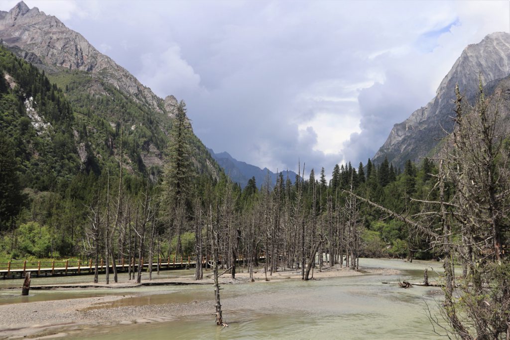 四川省・長坪溝/枯樹灘/四姑娘山鎮から大本営ベースキャンプへ/大峰山頂の写真 四姑娘山、大峰を登る-4