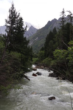 四川省・長坪溝/枯樹灘/四姑娘山鎮から大本営ベースキャンプへ/大峰山頂の写真 四姑娘山、大峰を登る-7