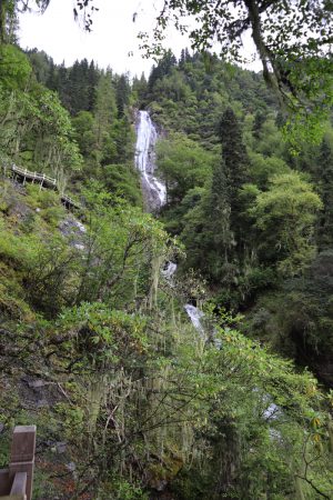 四川省・長坪溝/枯樹灘/四姑娘山鎮から大本営ベースキャンプへ/大峰山頂の写真 四姑娘山、大峰を登る-8