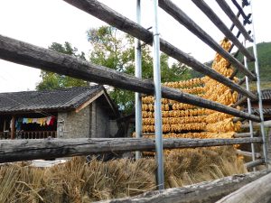 雲南省・白水台の写真　白とブルーの神秘-11