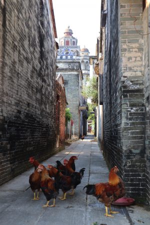 広東省・開平の写真　華僑の故郷を訪ねて-9