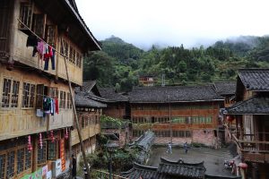 広西壮族自治区・龍脊棚田の写真　山を彩る金色の絨毯-10