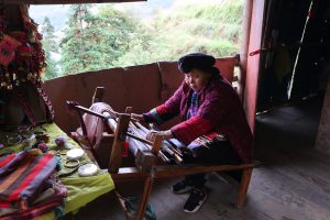 広西壮族自治区・龍脊棚田の写真　山を彩る金色の絨毯-6