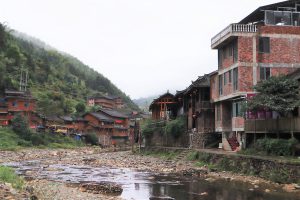 広西壮族自治区・龍脊棚田の写真　山を彩る金色の絨毯-7