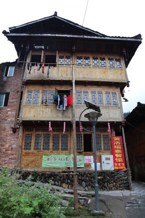 広西壮族自治区・龍脊棚田の写真　山を彩る金色の絨毯-8