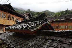 広西壮族自治区・龍脊棚田の写真　山を彩る金色の絨毯-9