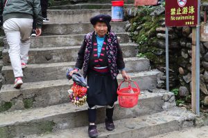 広西壮族自治区・龍脊棚田の写真　山を彩る金色の絨毯2-11