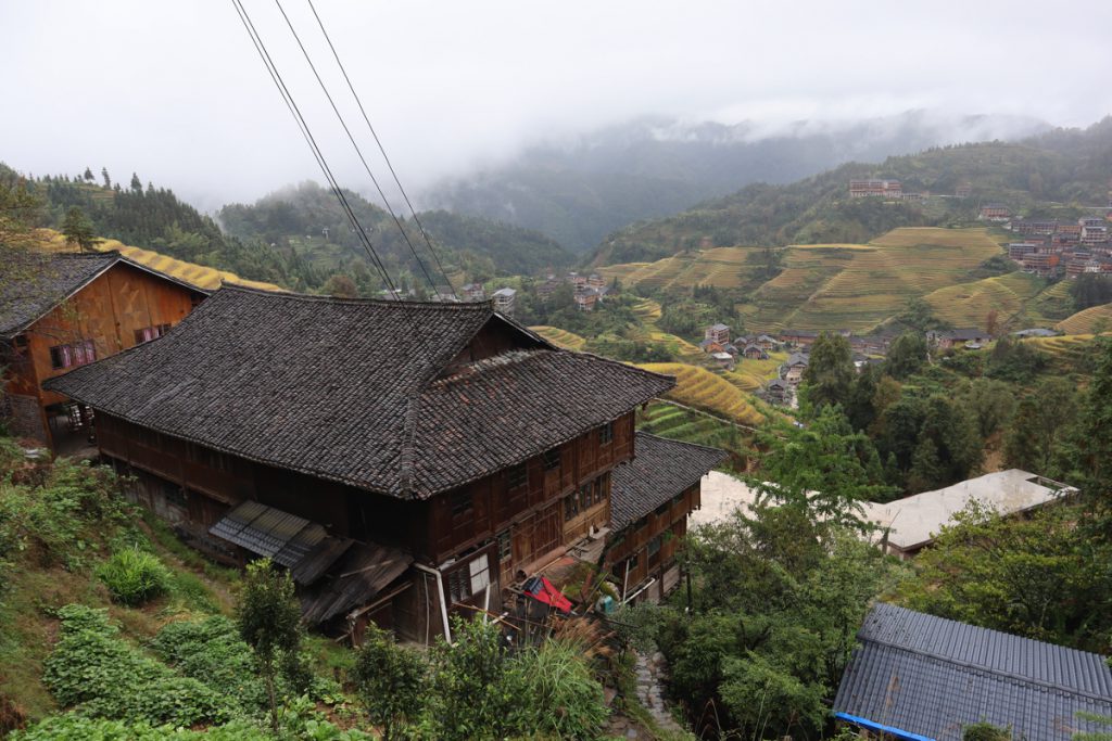 広西壮族自治区・龍脊棚田の写真　山を彩る金色の絨毯2-4