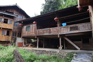 広西壮族自治区・龍脊棚田の写真　山を彩る金色の絨毯2-6